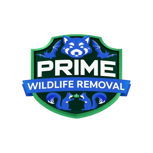 Wildlife Removal Henry County